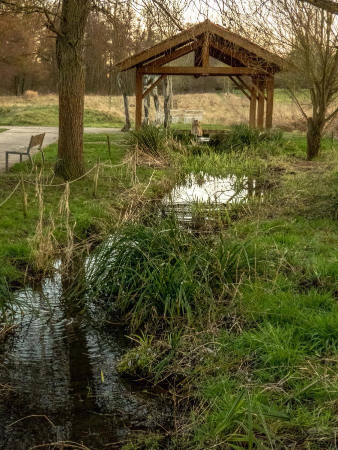 Le Domaine Des Droles De Dames Pensionat Buding Exteriör bild