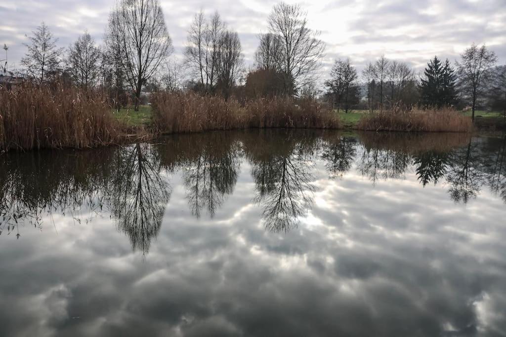 Le Domaine Des Droles De Dames Pensionat Buding Exteriör bild